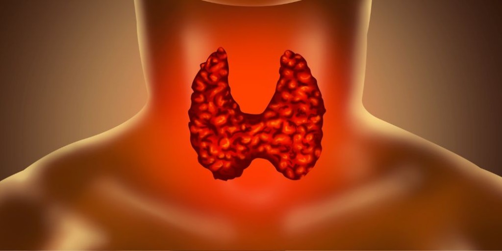 Υποθυρεοειδισμός: Διατροφή για Αντιμετώπιση και Βάρος [ΟΔΗΓΟΣ]