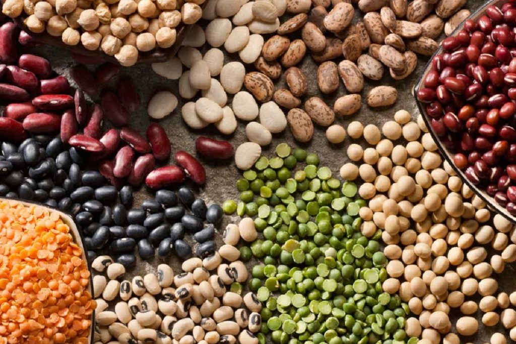 Δείτε ποια είναι τα δώδεκα όσπρια που έχουν την περισσότερη πρωτεΐνη