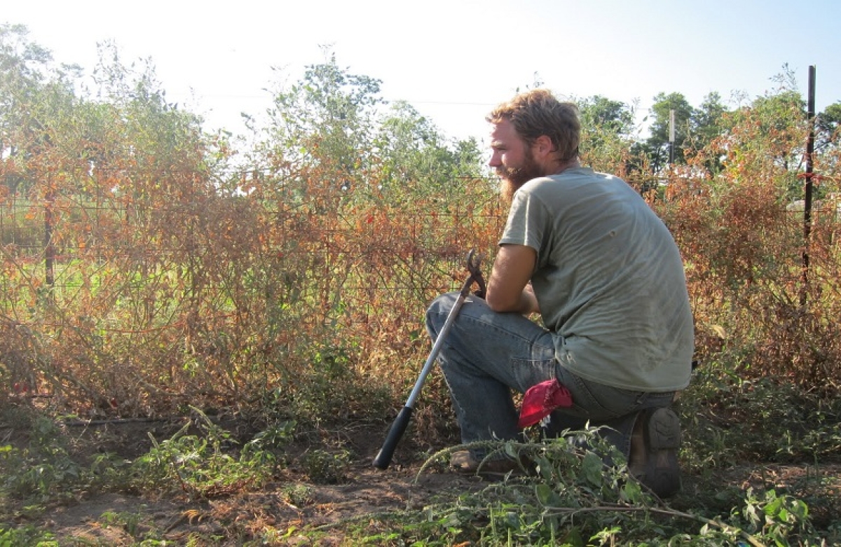 Ο ΕΛΓΟ ΔΗΜΗΤΡΑ ξεκινά από Νοέμβριο την εκπαίδευση των νέων αγροτών