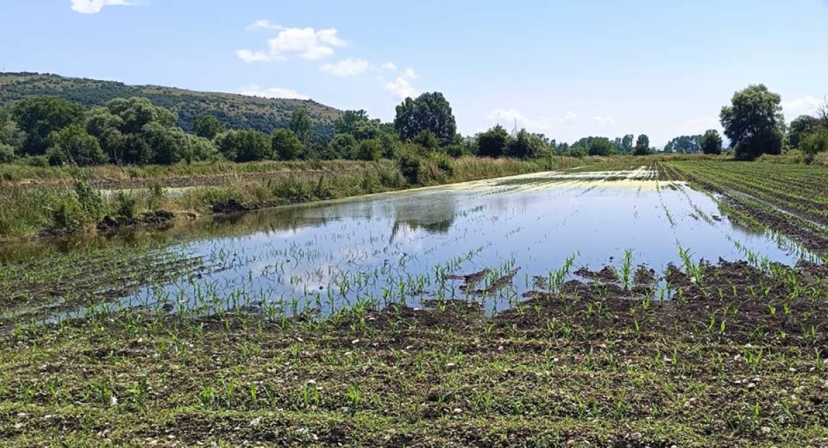 Επικοινωνία Γ. Παπαναστασίου με ΥπΑΑΤ με Λ. Αυγενάκη για τις καταστροφές των καλλιεργειών απο την κακοκαιρία