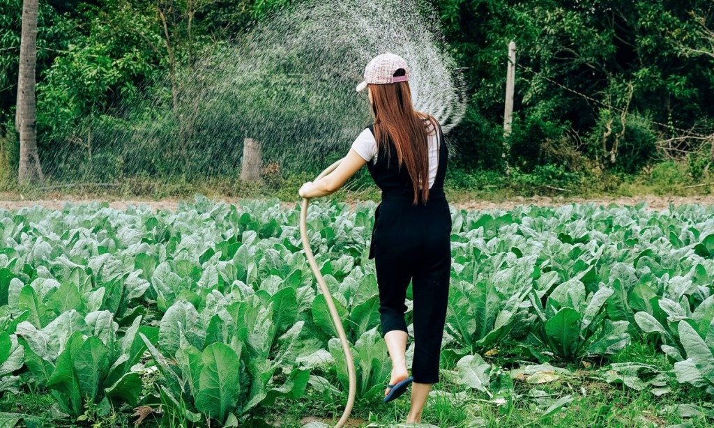 Δυτική Ελλάδα: Μεγάλο ενδιαφέρον για τη νέα πρόσκληση και εγκατάσταση Νέων Αγροτών