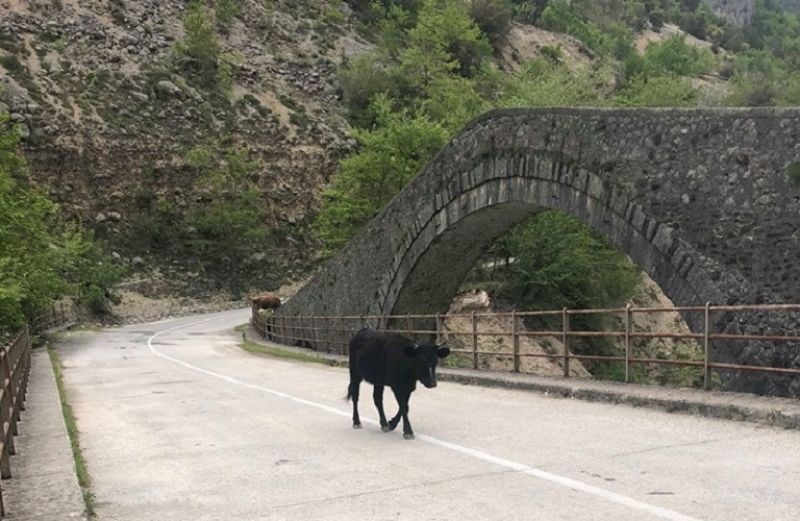 Νέα Κοινή Αγροτική Πολιτική, με κοινωνική διάσταση