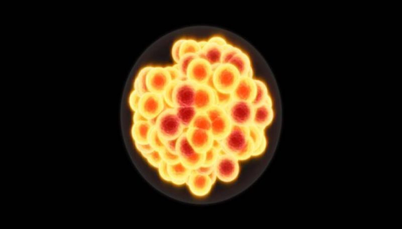 Ρώσοι επιστήμονες ανακοίνωσαν μια ιστορική ανακάλυψη (vid)