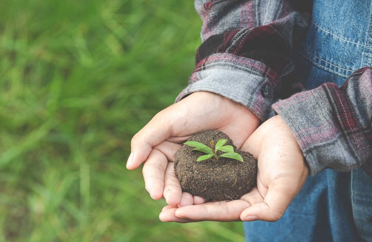 Οι 4 προτεραιότητες του ΥπΑΑΤ για τη στήριξη του πρωτογενούς τομέα