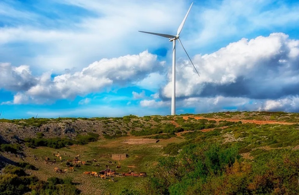 Πρόσκληση εκδήλωσης ενδιαφέροντος για το BIOWIND