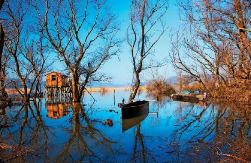 Κοινή τοποθέτηση Περιβαλλοντικών Οργανώσεων