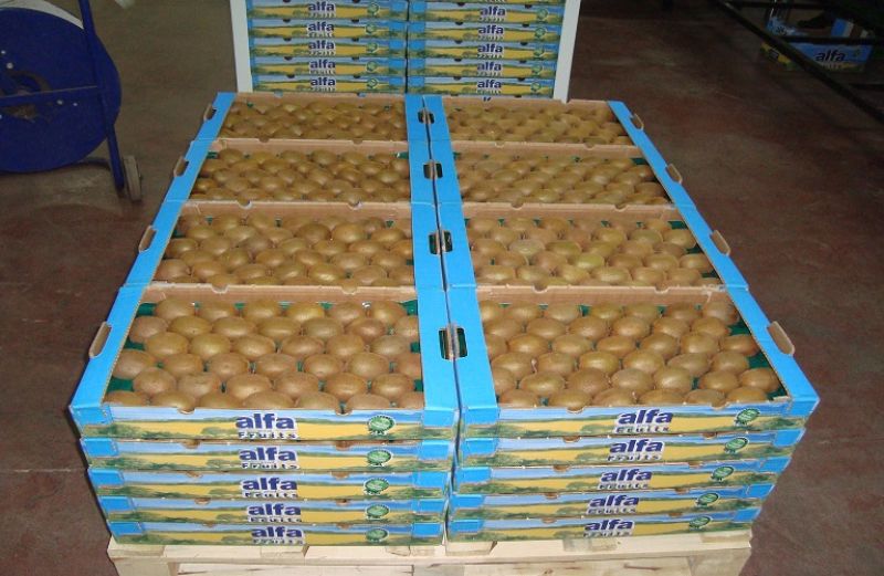 Πρόσληψη υπαλλήλου πλήρους απασχόλησης  στον A.Σ. Νεάπολης Αγρινίου