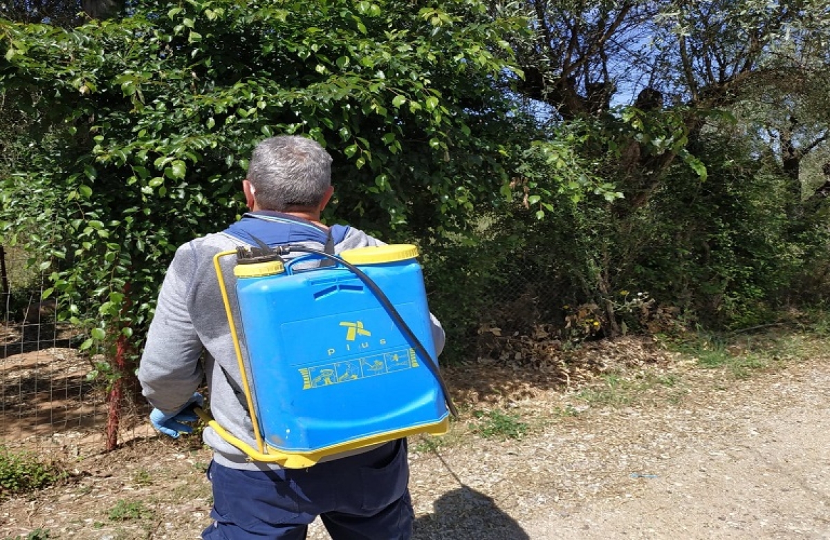 Φυτοφάρμακα: Πώς να αναγνωρίζετε τα παράνομα