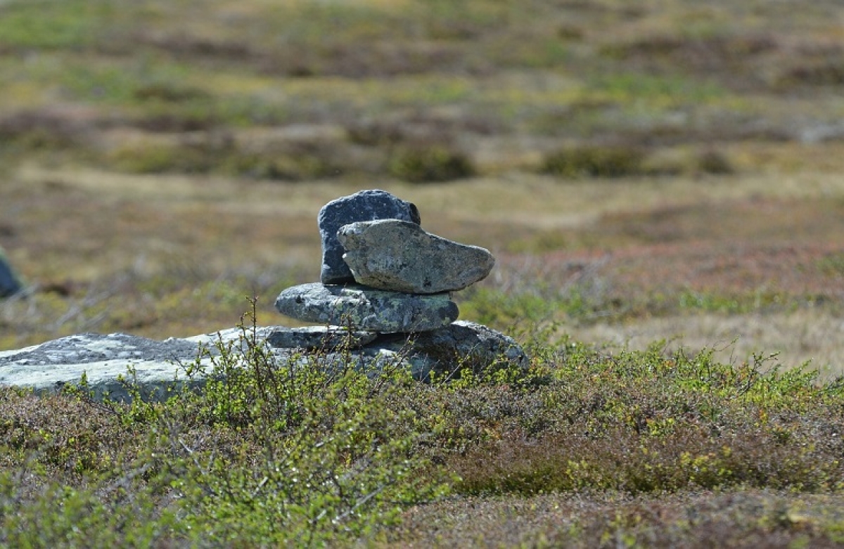 Προετοιμασία αγροτών για το ΟΣΔΕ