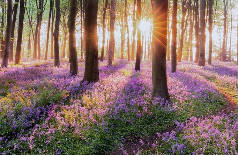 1 τρισ. ευρώ για τη χρηματοδότηση δράσεων κατά της κλιματικής αλλαγής