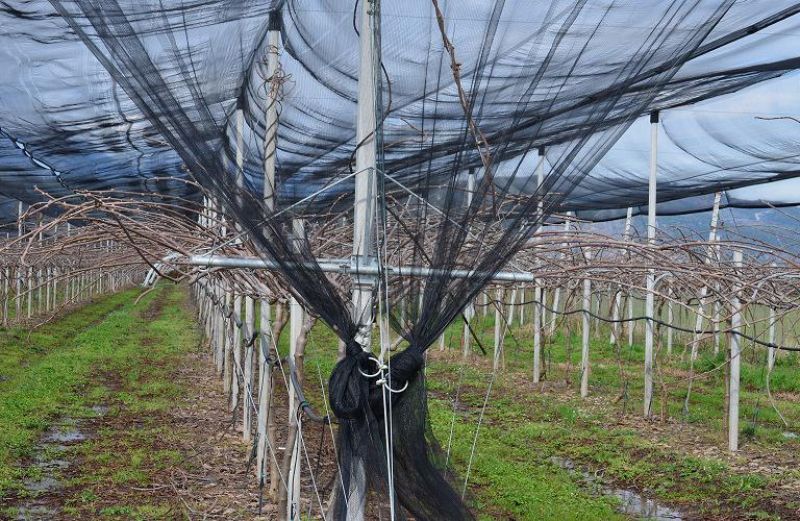 Ενεργητική Προστασία: Η πρόσκληση για το νέο πρόγραμμα
