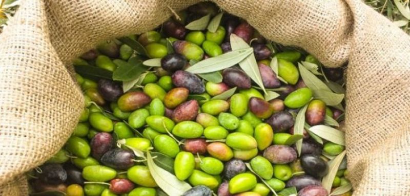 Δωρεάν εδαφολογικές αναλύσεις πραγματοποίησε ο Αγροτικός Συνεταιρισμός Καινούργιου