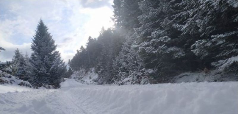 Ορεινή Ναυπακτία: Μαγικό τοπίο η Άνω Χώρα, τα Κρυονέρια και η Κυδωνιά (βίντεο, φωτο)