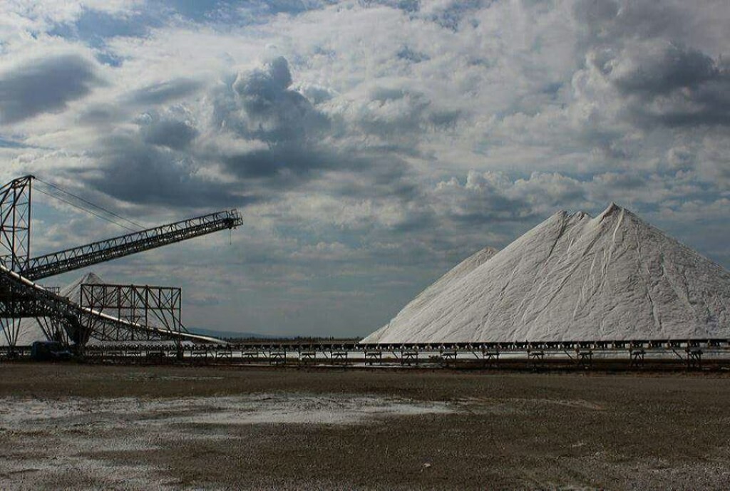 Μεσολόγγι: Άρχισε η Συγκομιδή του «Λευκού Θησαυρού»