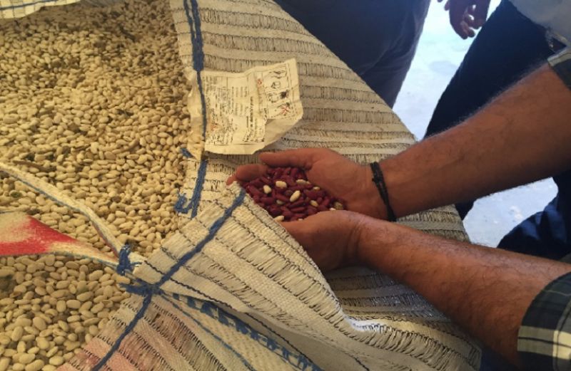 Ενίσχυση των «πράσινων» επιχειρήσεων στη Δυτική Ελλάδα