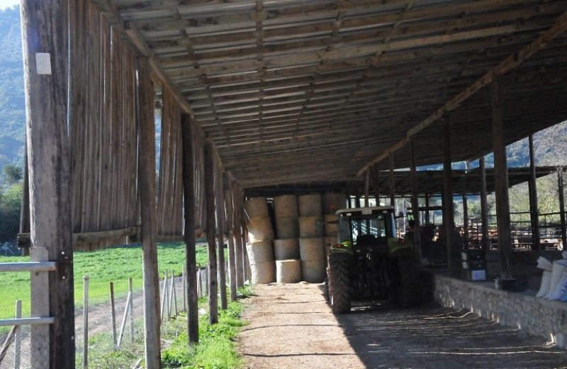 Η εφαρμογή των κανόνων ανταγωνισμού στον γεωργικό τομέα