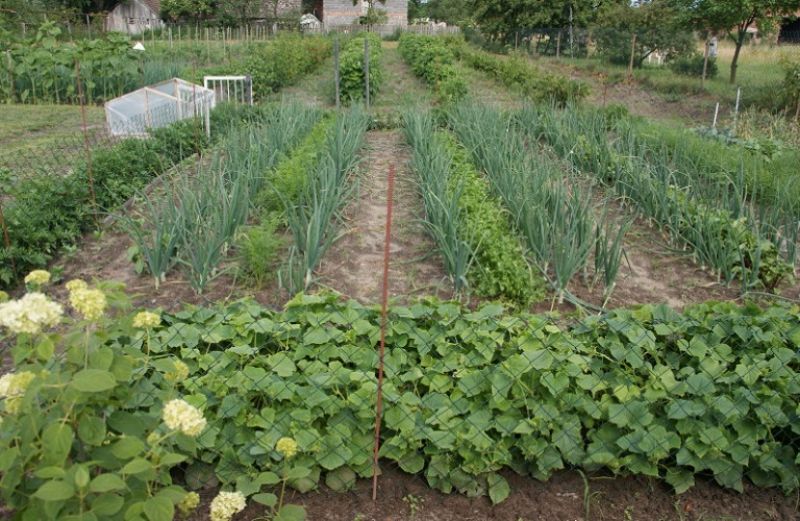 Αγρότες, …ξανά!!!