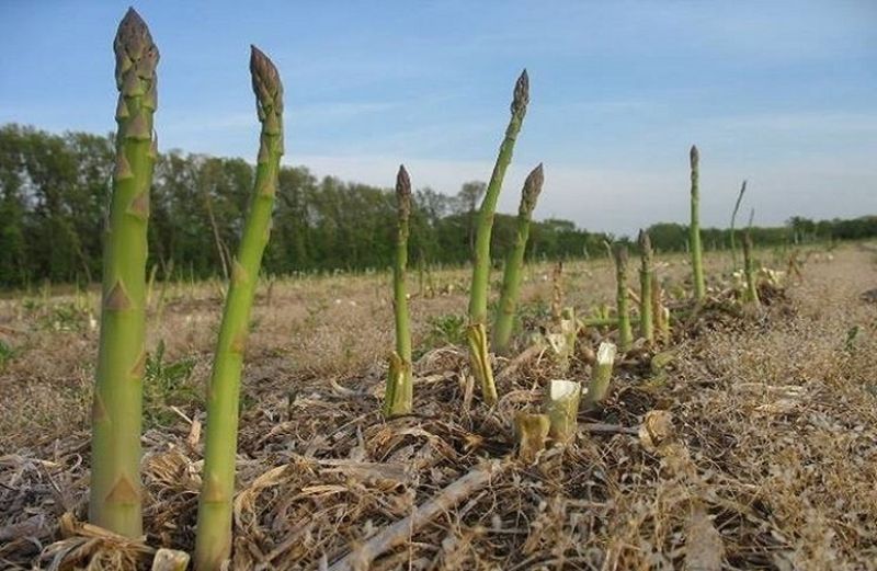 Ενισχύσεις de minimis ...και ανακοινώσεις απ&#039; το ΥπΑΑΤ