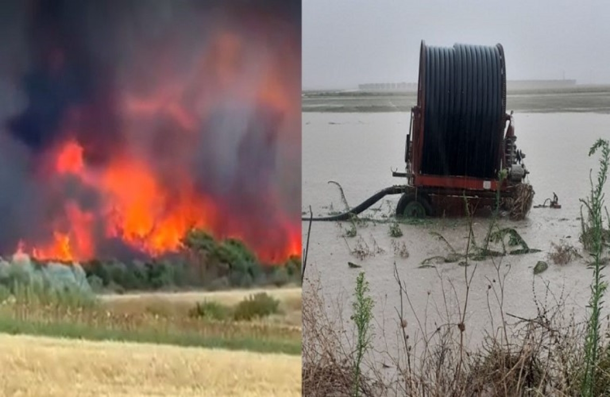 ΕΘΕΑΣ: επιστολή στον πρωθυπουργό για άμεσες αποζημιώσεις