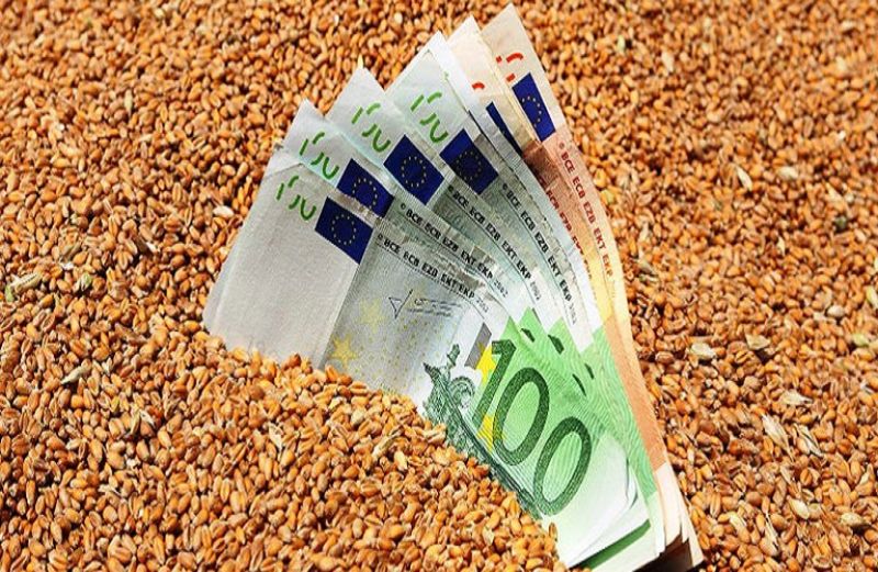 Καθορίστηκε το ύψος της συνδεδεμένης 2017 για όσπρια, κτηνοτροφικά – σανοδοτικά ψυχανθή, σπαράγγια και καρπούς με κέλυφος