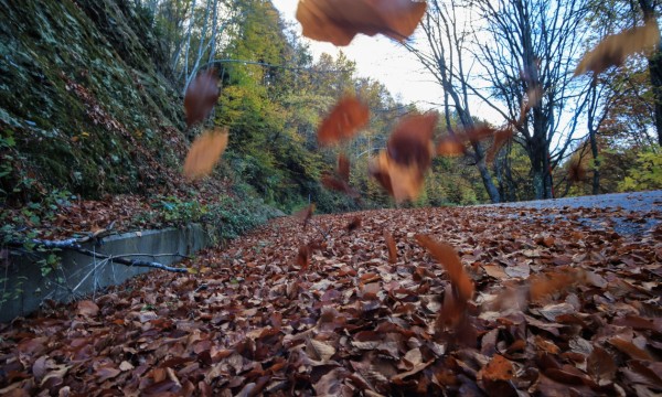 Κλιματική αλλαγή: Αλλάζει ο τουρισμός στην Ελλάδα – Υποχωρούν οι παραλίες, κερδίζει η ενδοχώρα