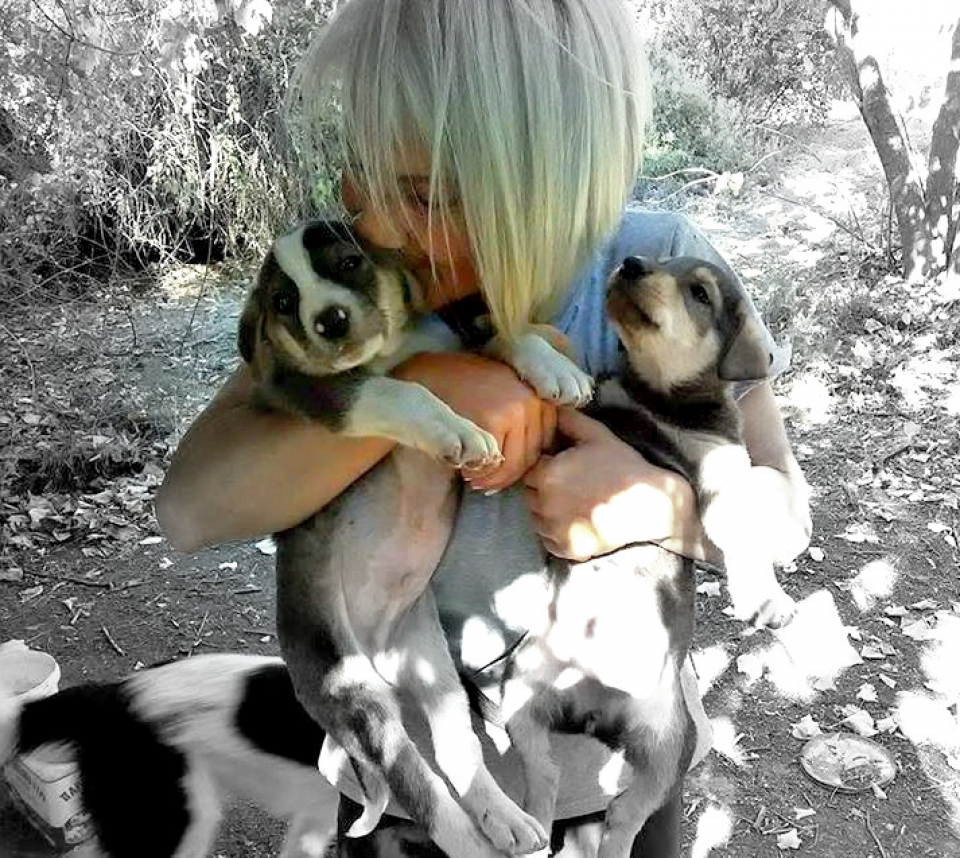 Αφιέρωμα στα αδέσποτα του Σέιχ Σου - Βούλα Τζάνου