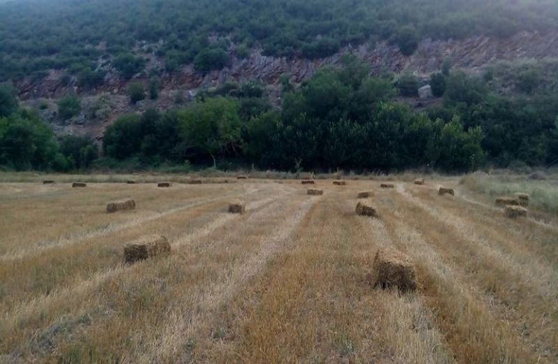 467 εκατ. ευρώ επιστρέφονται στους ευρωπαίους αγρότες