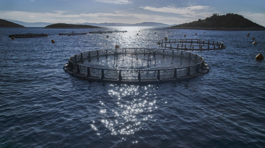 Το νέο Δ.Σ. της ΕΛΛΟΠΥ