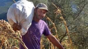 Η ξεχασμένη πατόζα του Κοσμά | Η ζωή στο χωριό (Βίντεο)