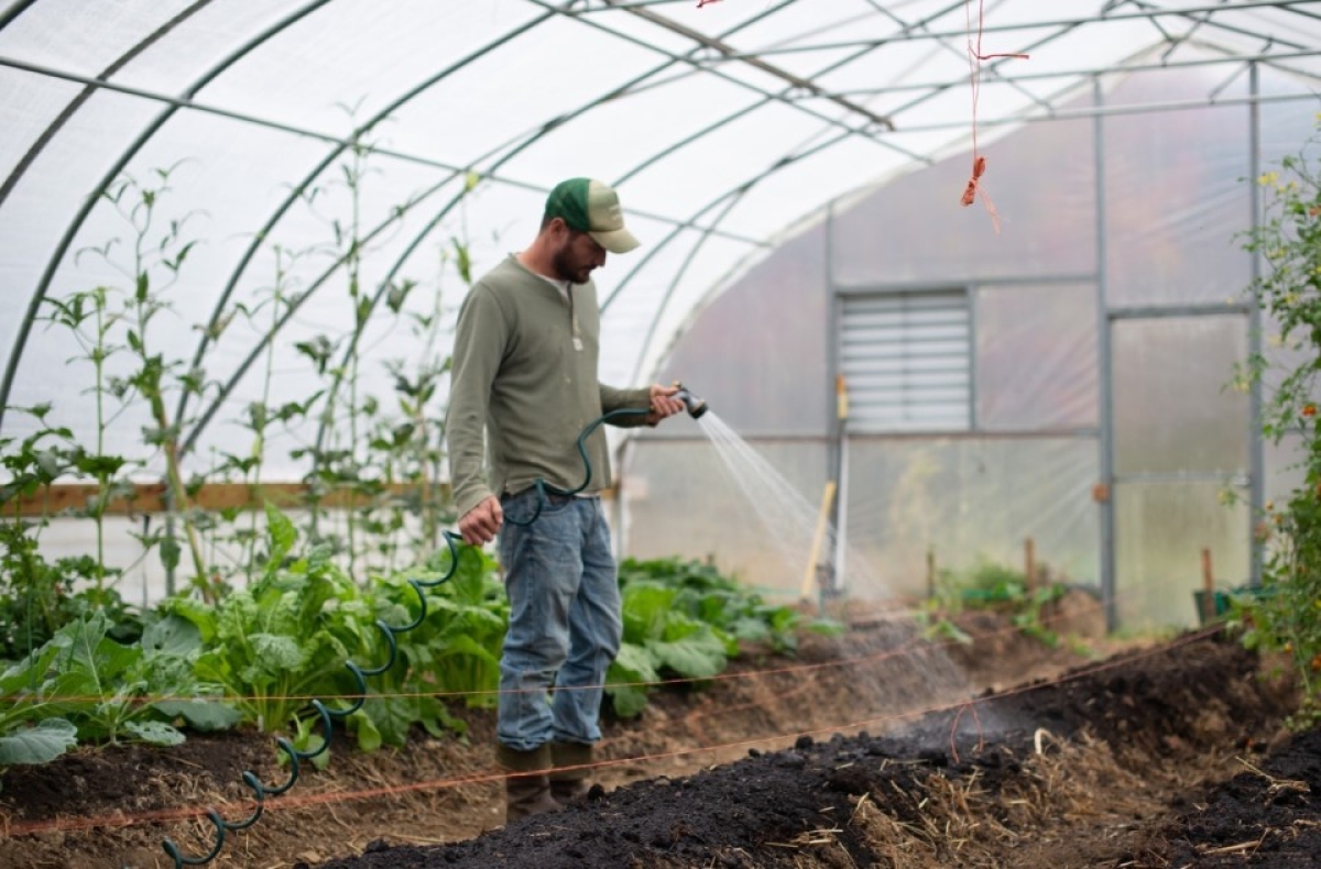 Διαβούλευση Προδημοσίευσης Πρόσκλησης Γεωργών Νεαρής Ηλικίας