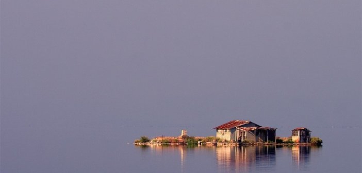 Το “Tango των Φλαμίνγκο” στο Μεσολόγγι – Μαγευτικό βίντεο από τον φωτογράφο Βασίλη Αρτίκο
