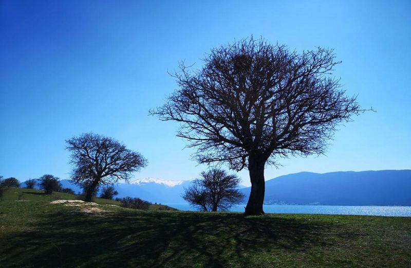 Νέα βάση δεδομένων για τις γεωγραφικές ενδείξεις της ΕΕ