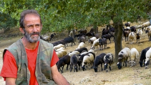 Επιστροφή στη φύση -Το κοπάδι του Χάρη | Η ζωή στο χωριό