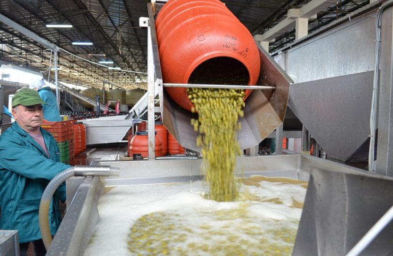 Απαλλάσσονται από το τέλος επιτηδεύματος οι συνεταιρισμένοι αγρότες