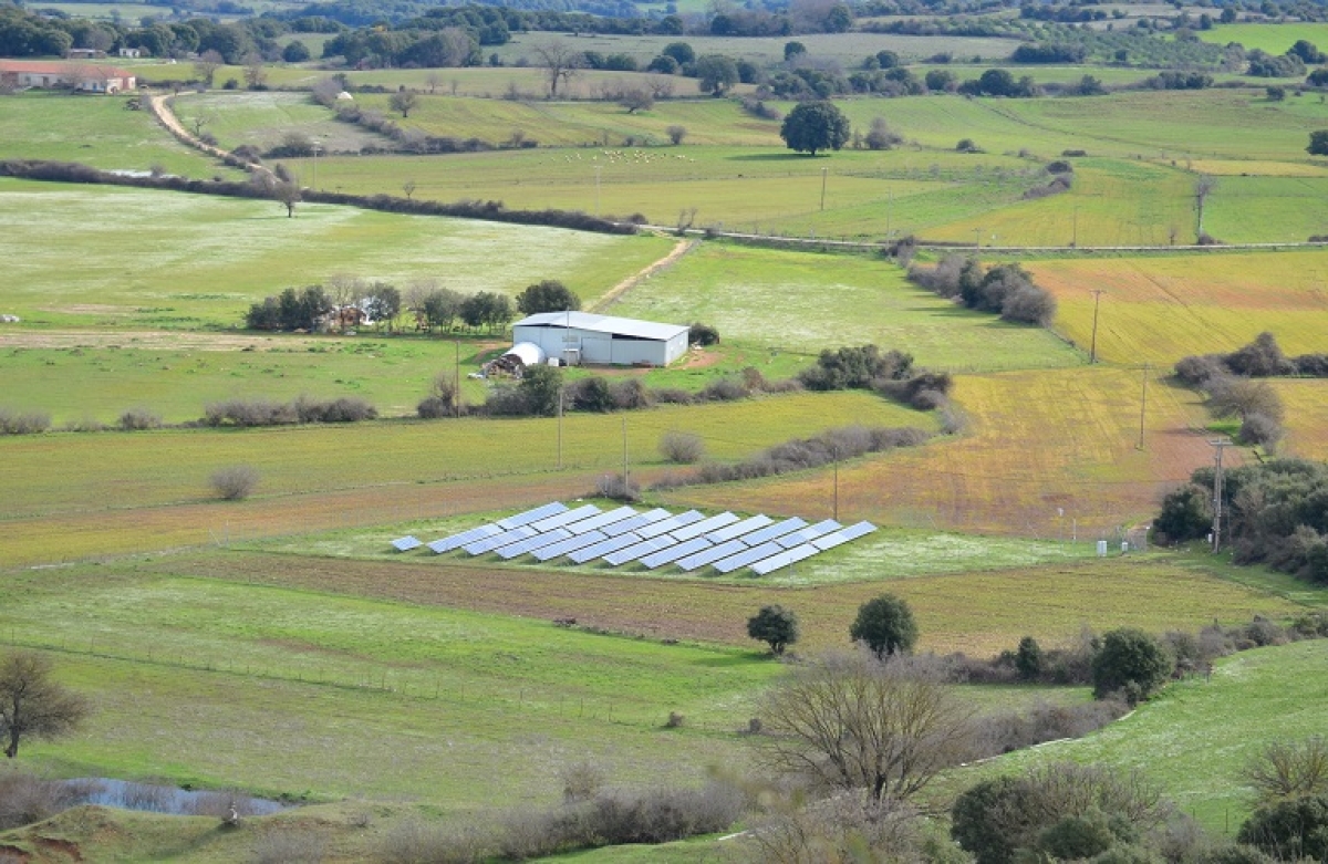 Προϋπολογισμός 2024: ενίσχυση της αγροτικής επιχειρηματικότητας και διαχείριση της κλιματικής κρίσης