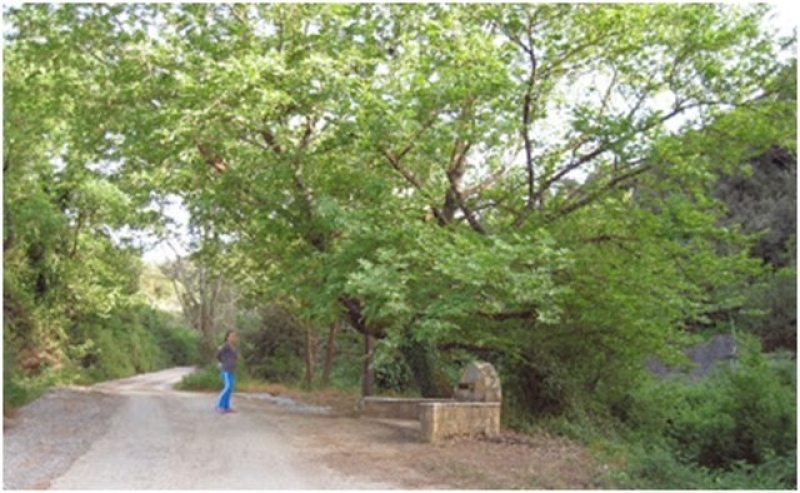 Αγγελόκαστρο – Μεγάλη βρύση: Ένας παράδεισος έξω απ’ τη πόρτα μας