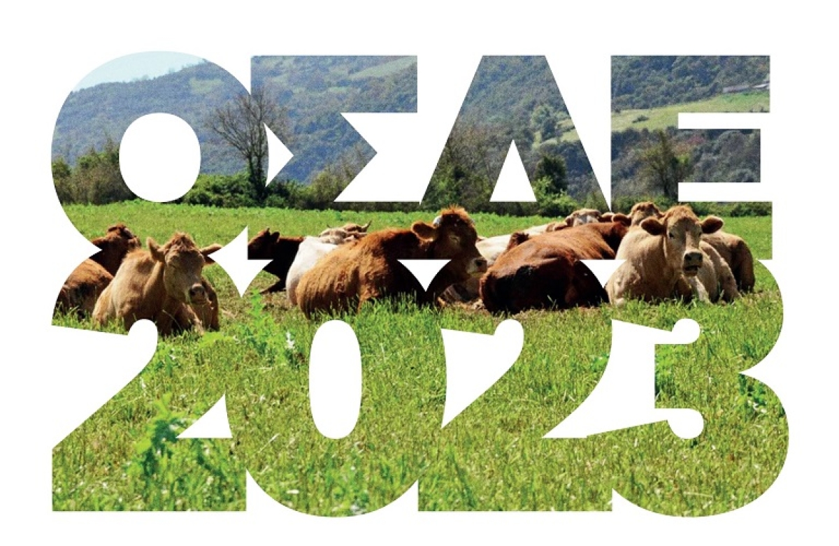 Έναρξη υποβολής Δηλώσεων ΟΣΔΕ 2023