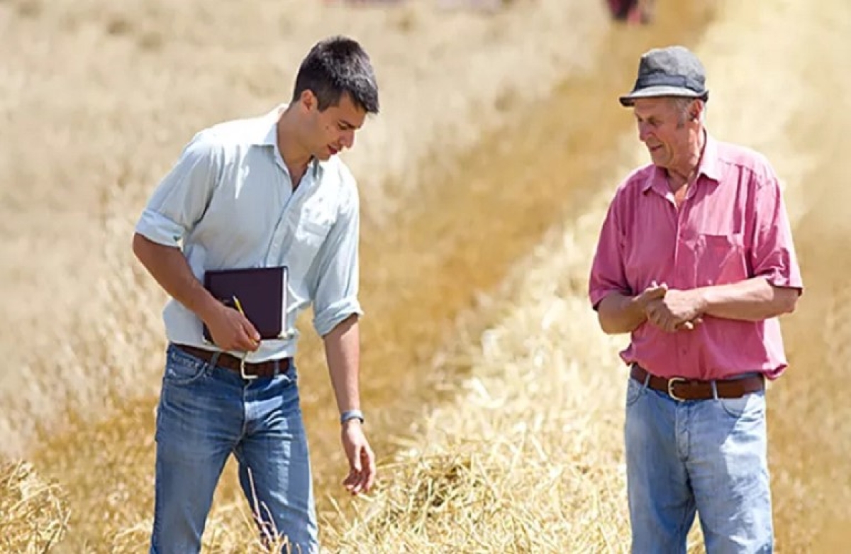 Χρήση Συμβουλευτικών Υπηρεσιών: πως θα γίνουν οι πληρωμές