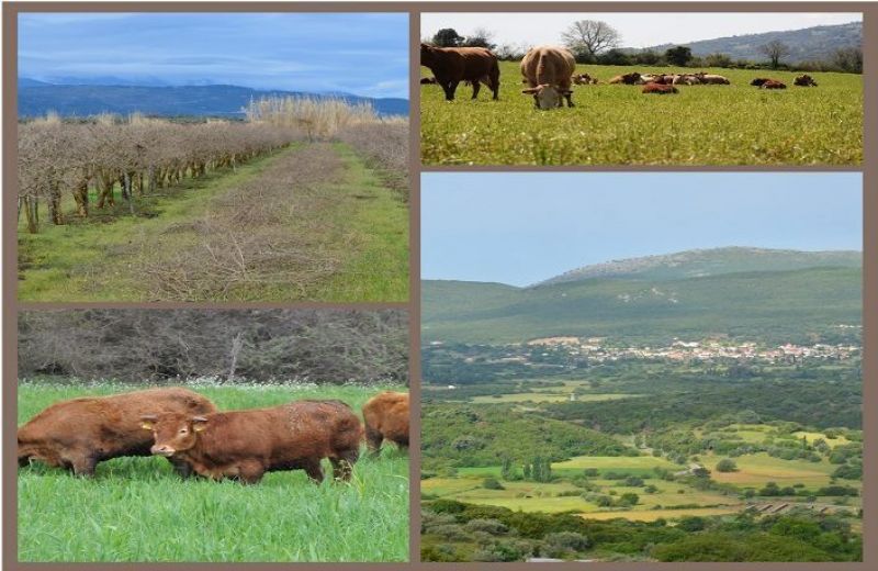 Υποχρεωτική η αναγραφή του Α.Τ.ΑΚ στις δηλώσεις ΟΣΔΕ