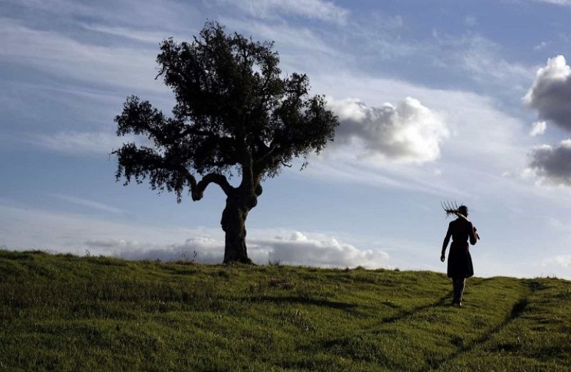 Πιστώνεται η Βασική Ενίσχυση - Διαθέσιμα από αύριο το απόγευμα τα λεφτά