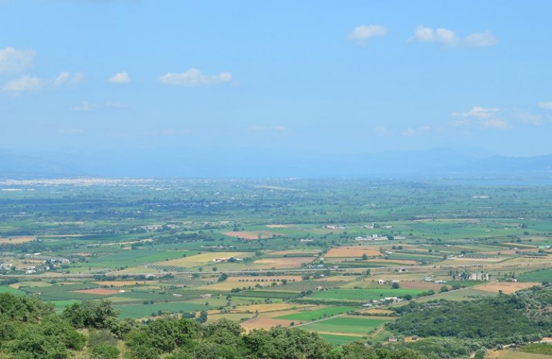 Δείκτες τιμών εισροών και εκροών στη γεωργία-κτηνοτροφία: Μάιος 2018