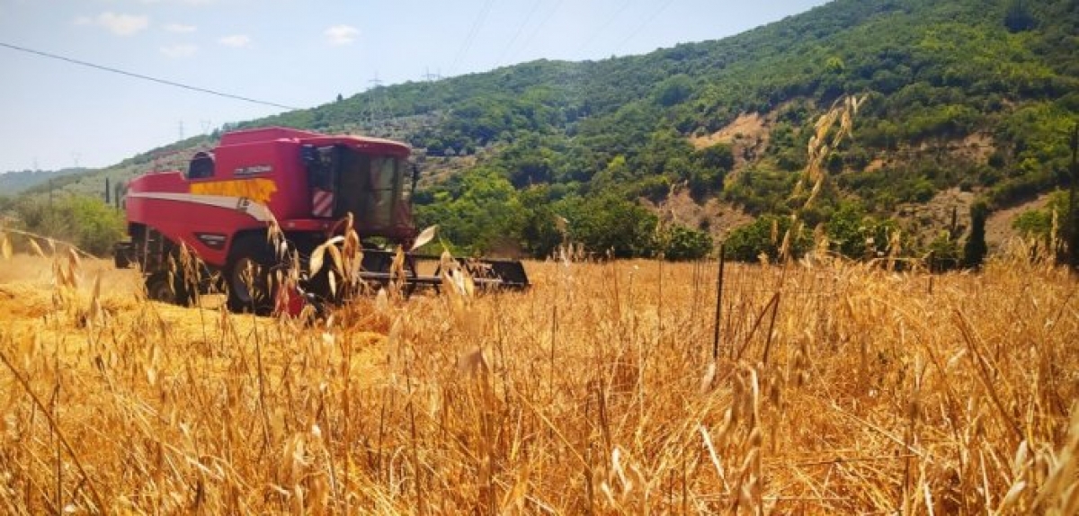 Ο Θέρος στον «κάμπο» Ποταμούλας (φωτο &amp; video)