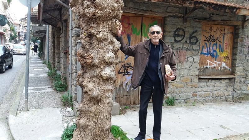 Αγρίνιο: Ο άνθρωπος και η ακακία…