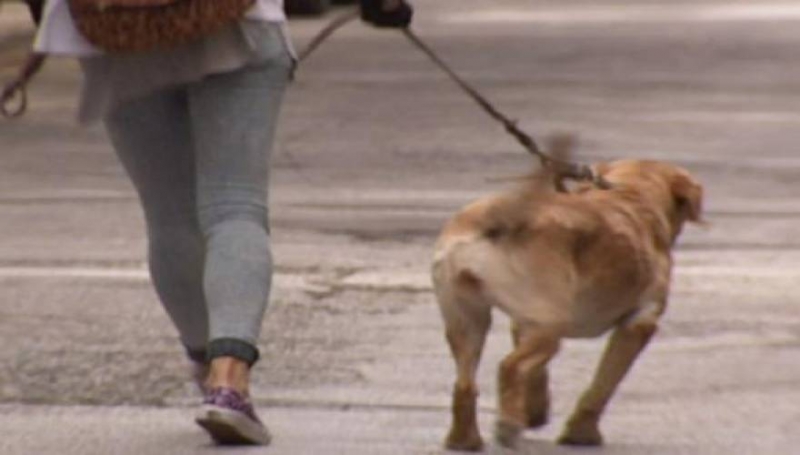 Ποιο πιστεύετε ότι είναι το επάγγελμα που ανθεί στη διάρκεια της κρίσης; [βίντεο]