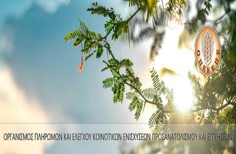 22,3 εκατ. ευρώ πληρωμές de minimis και όχι μόνο