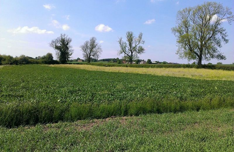 Λήγει η προθεσμία για τις ενστάσεις στην τηλεπισκόπηση