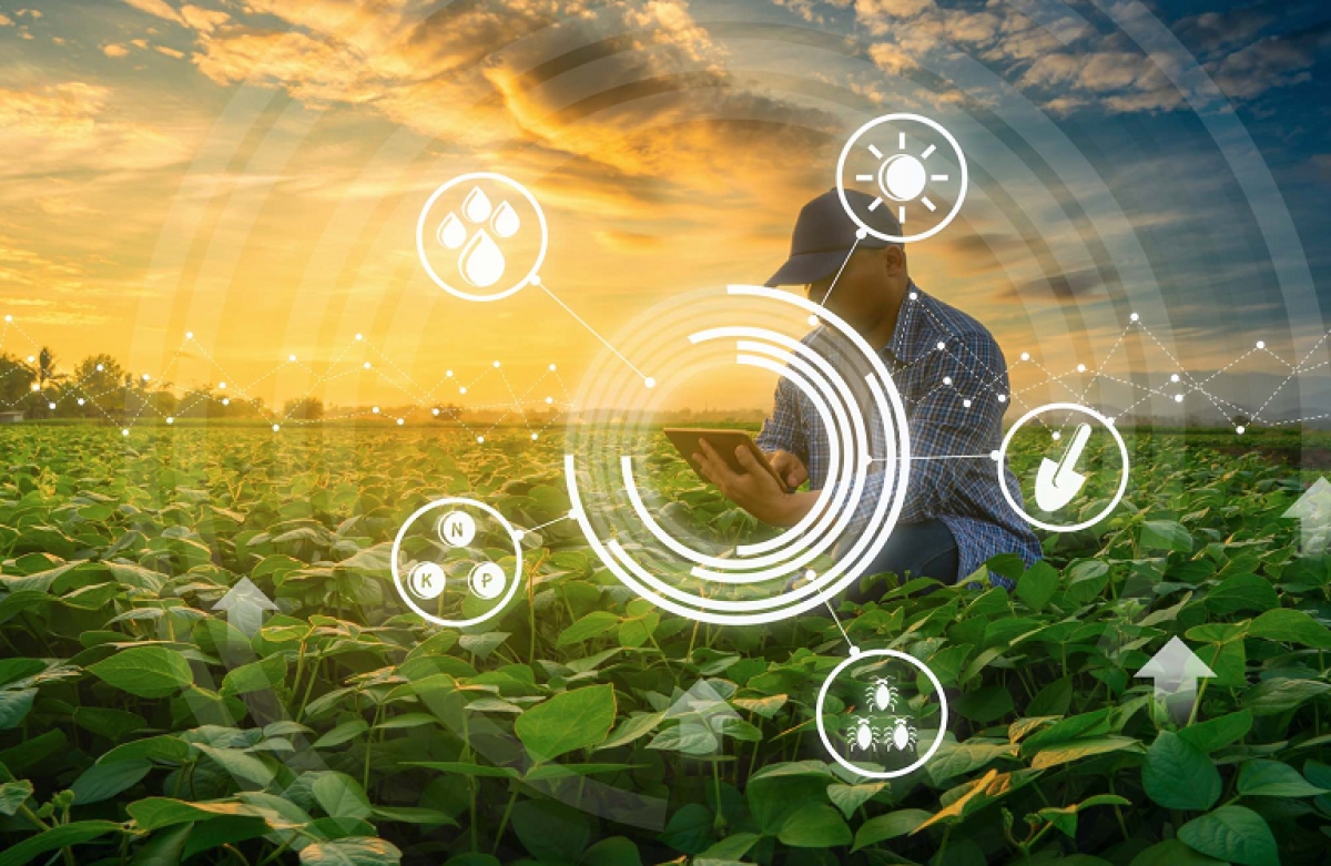 Οι προκλήσεις των αγροτικών δεδομένων