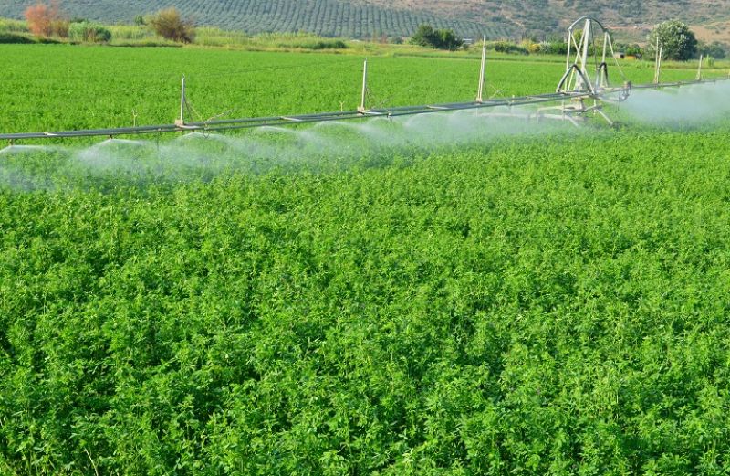 Στοιχεία επικοινωνίας και το ΑΦΜ καλλιεργητών, ιδιοκτητών και μισθωτών στον ΤΟΕΒ Αγρινίου