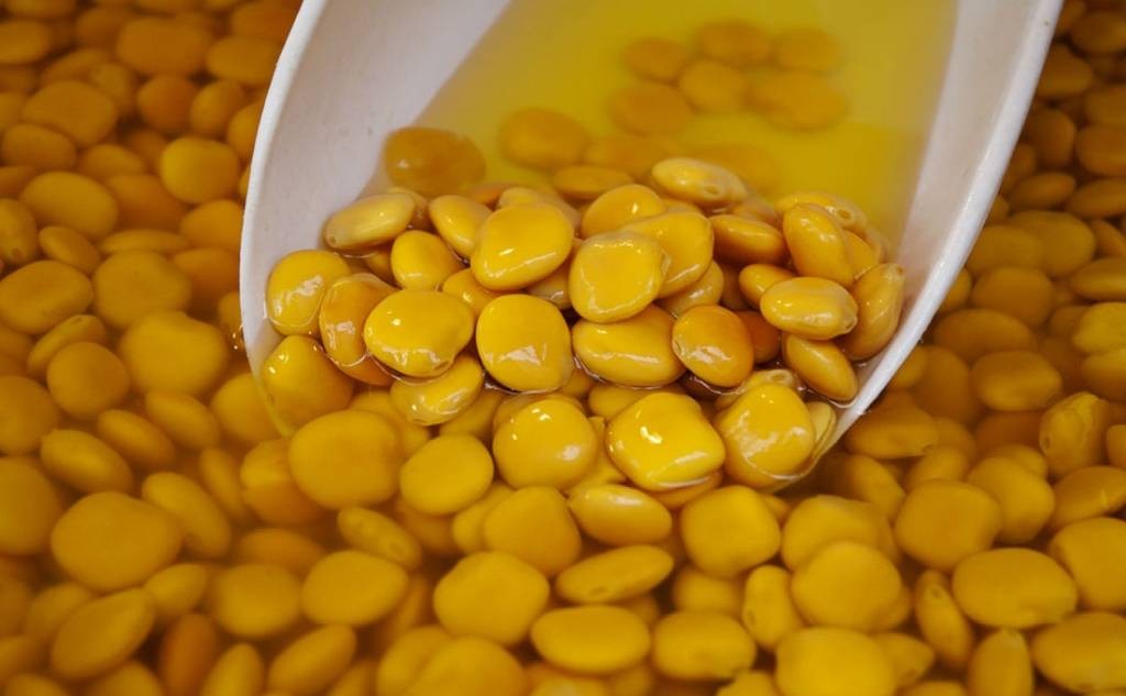 Λούπινο: Το «κρέας του φτωχού» με τη μεγάλη διατροφική αξία