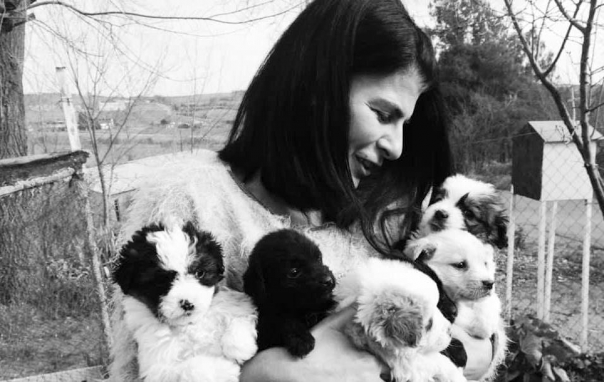 Αφιέρωμα στο Never Wal Alone. Μαρίκα Καμάρη. Μια γυναίκα φύλακας άγγελος για χιλιάδες αδέσποτα σε όλη την Ελλάδα